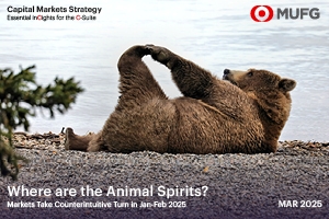 Where are the Animal Spirits, Bear laying down